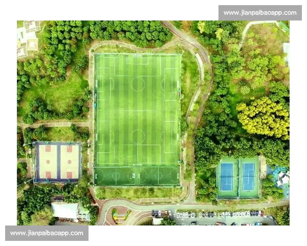 以体育平台为核心打造全民参与的数字运动生态新格局发展蓝图 以体育平台为核心打造全民参与的数字运动生态新格局发展蓝图